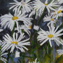 Shashta Daisies (SOLD)